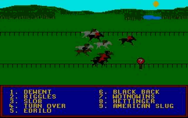 Horse Racing Simulator