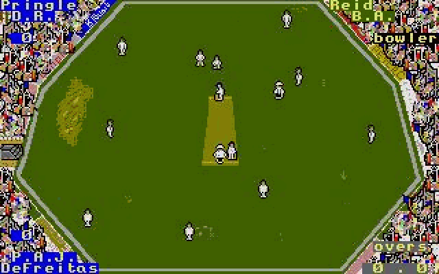 International Cricket II