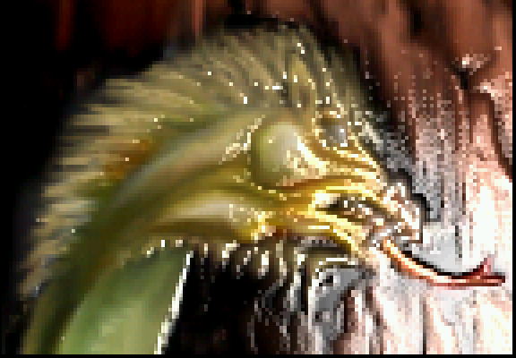 IT