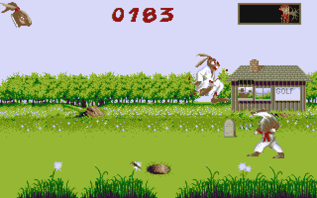Ninja Rabbits