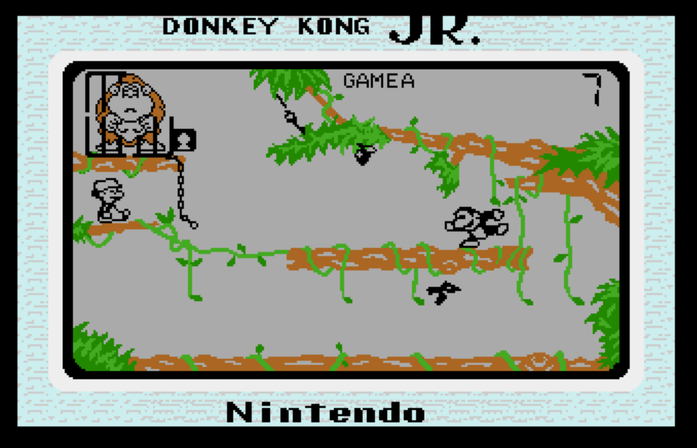 Donkey Kong Jr.