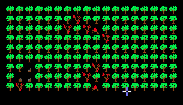 Forest Fire
