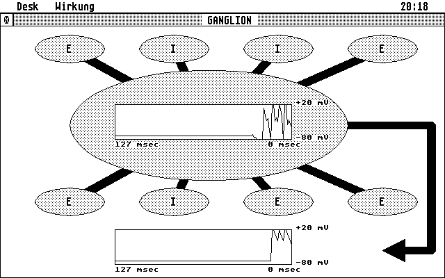 Ganglion