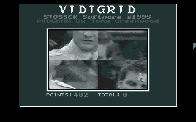 Vidigrid